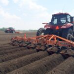 Struik ZF міжрядний роторний культиватор - Зображення 5