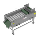 Domasz CS-55 - Щіткова машина для очищення